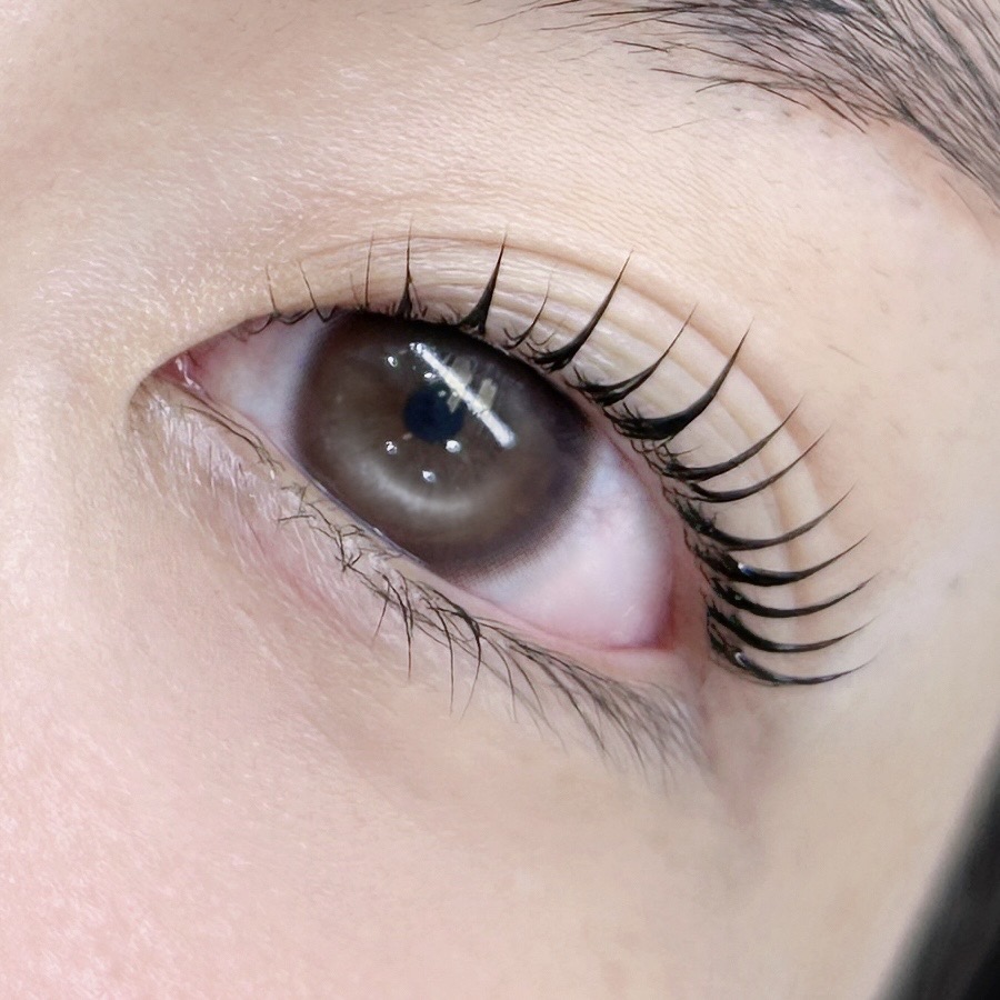 하이블리 대표 이미지