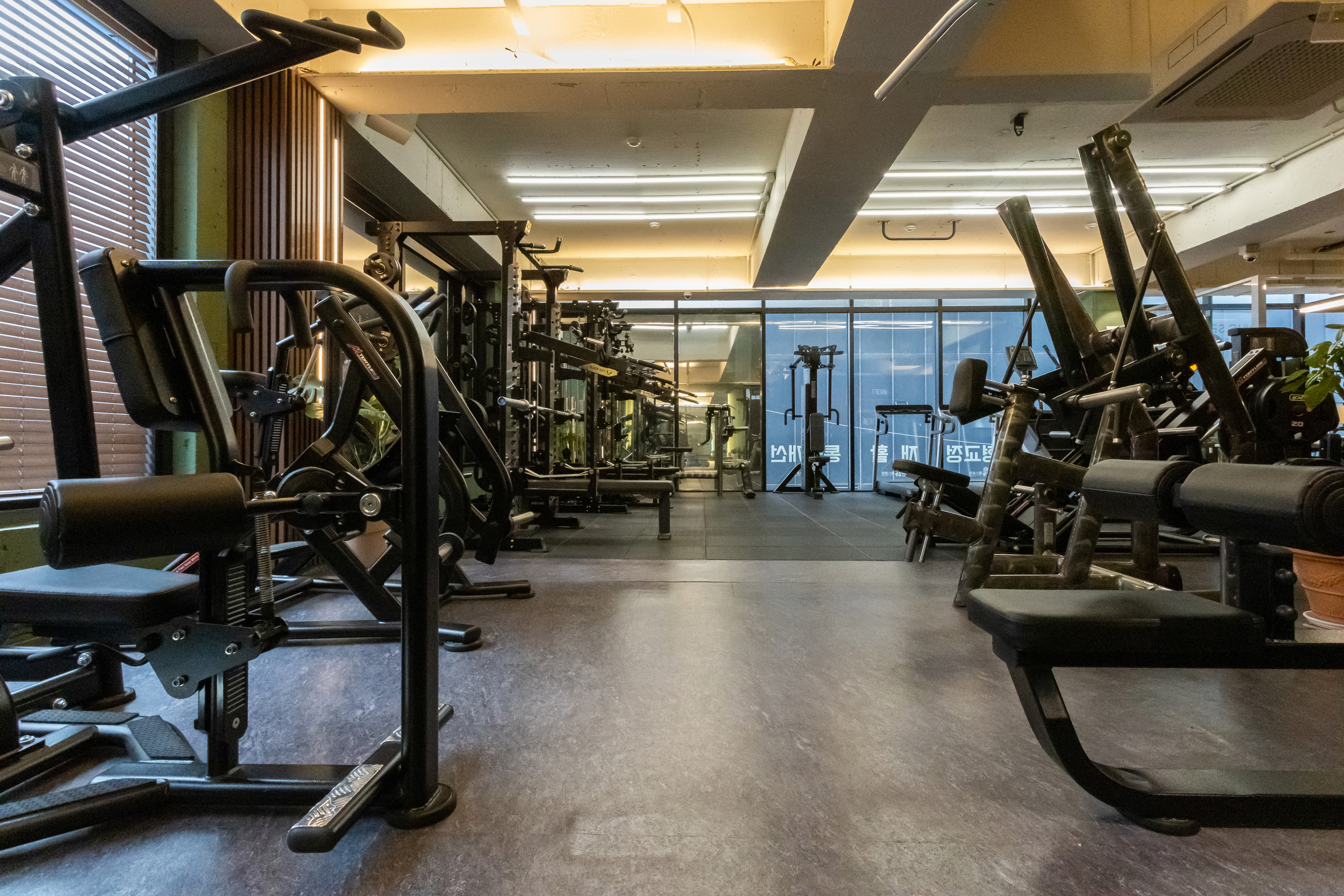 관철동헬스클럽 PT 대표 이미지