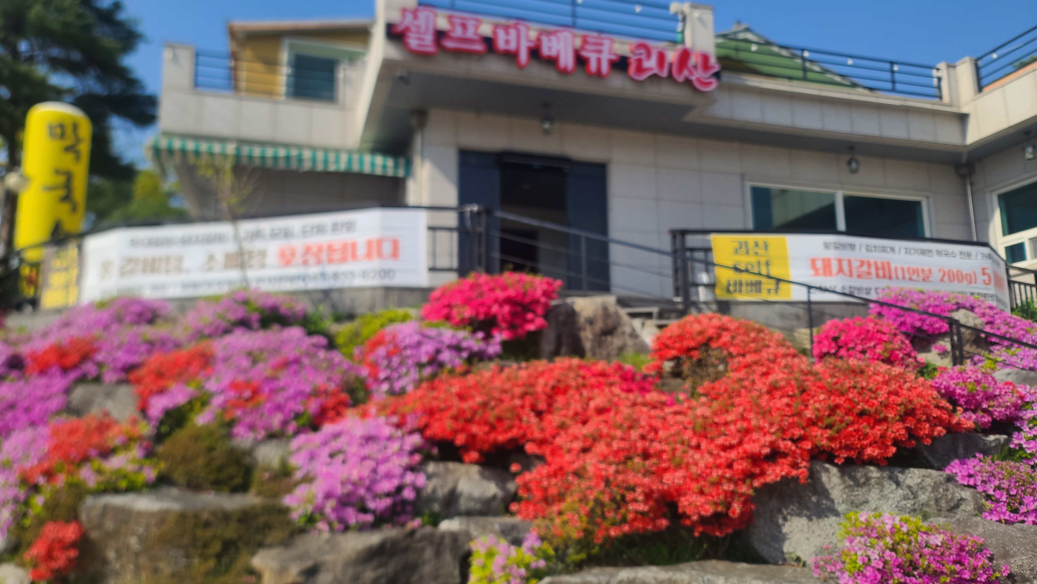 괴산셀프바베큐