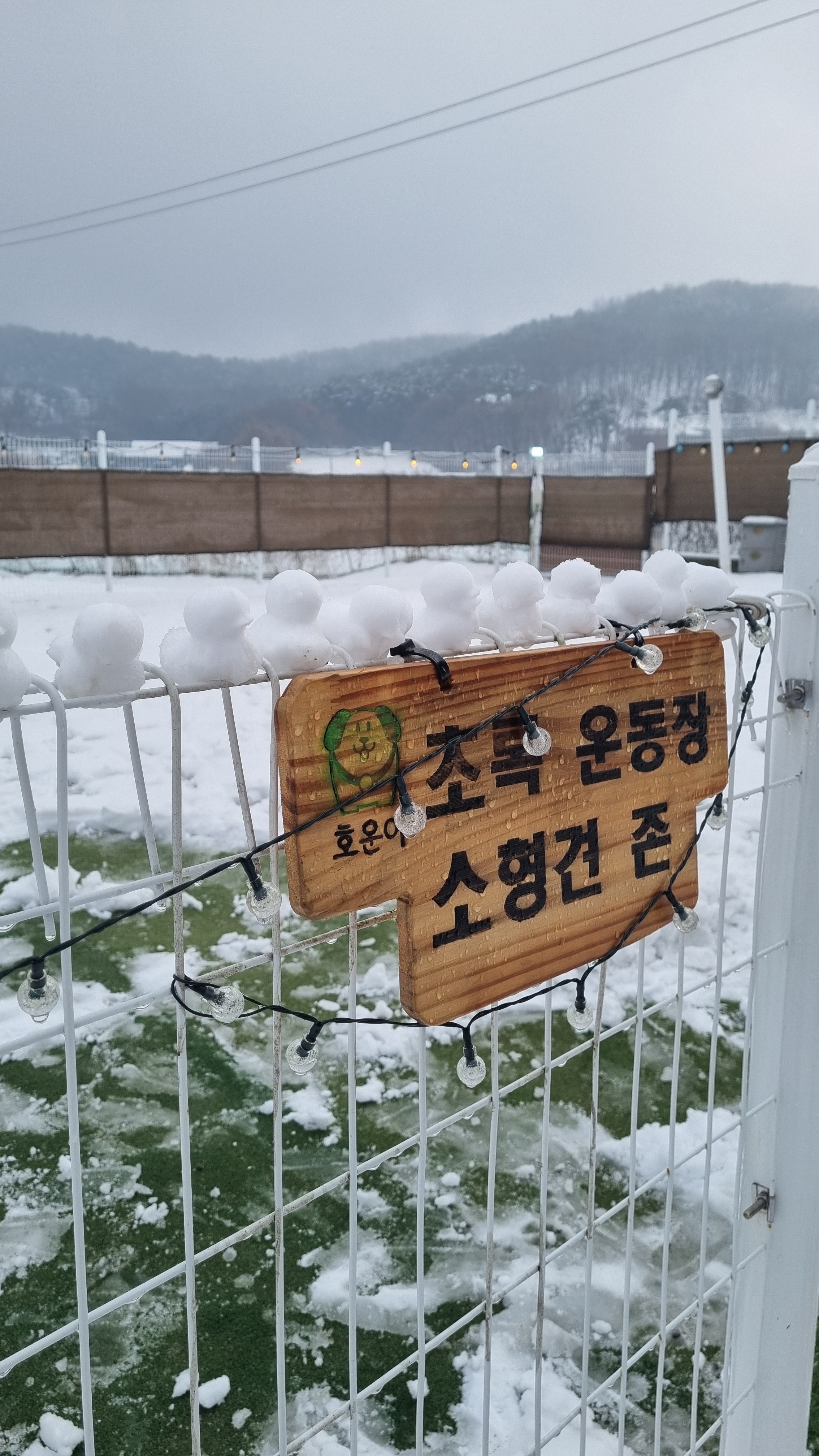 호운아 대표 이미지