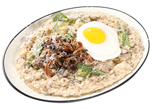 트러플 화이트 라구 리조또