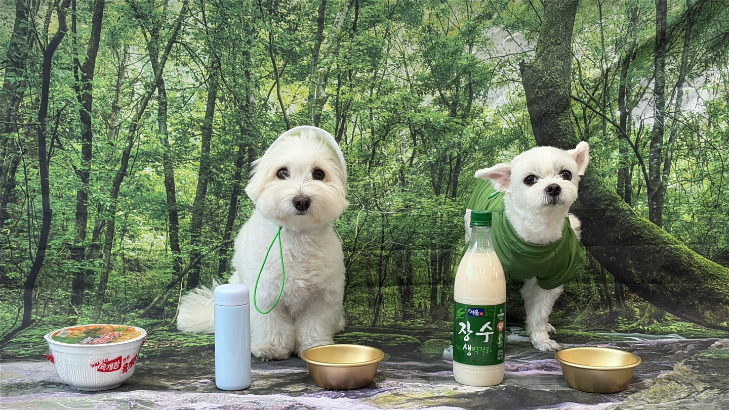 프리독스 대표 이미지