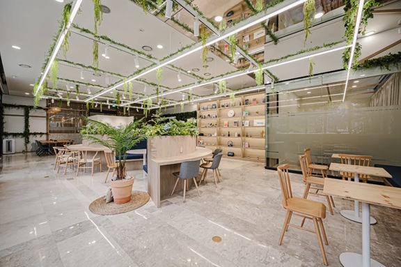 이도플랜 대표 이미지