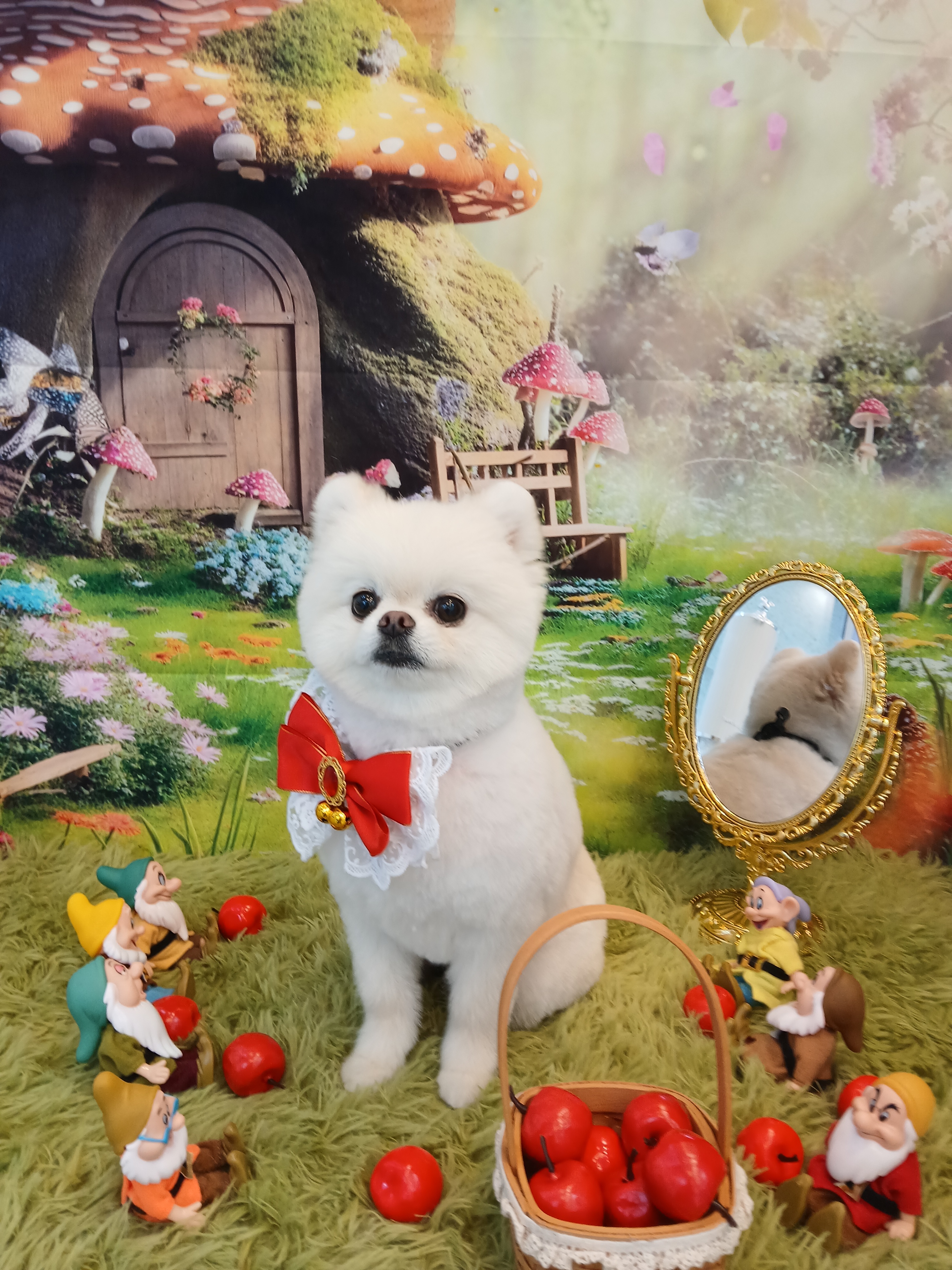 댕며들개 대표 이미지