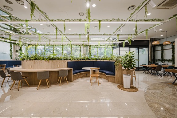 이도플랜 대표 이미지