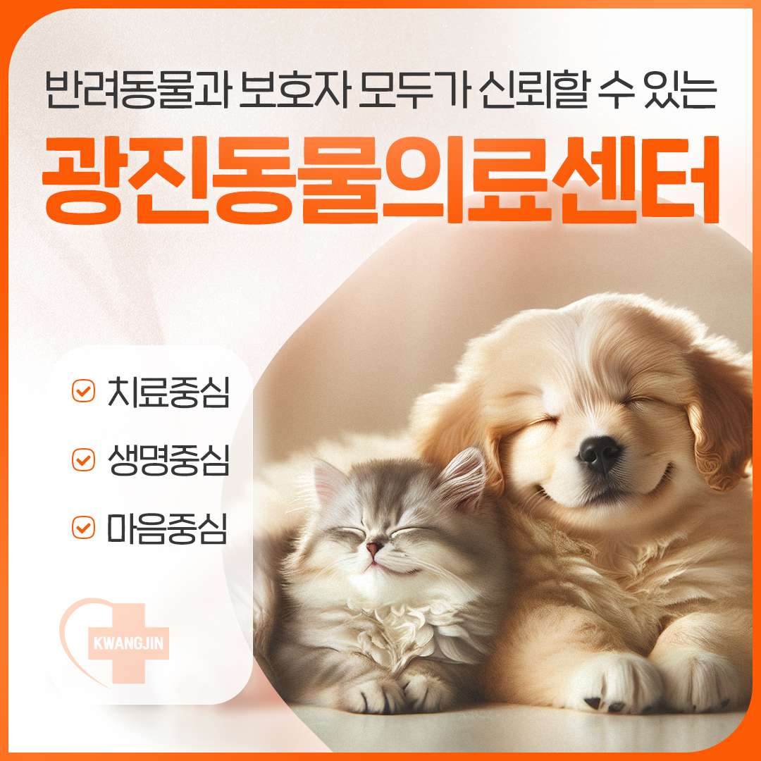 광진동물의료센터 대표 이미지