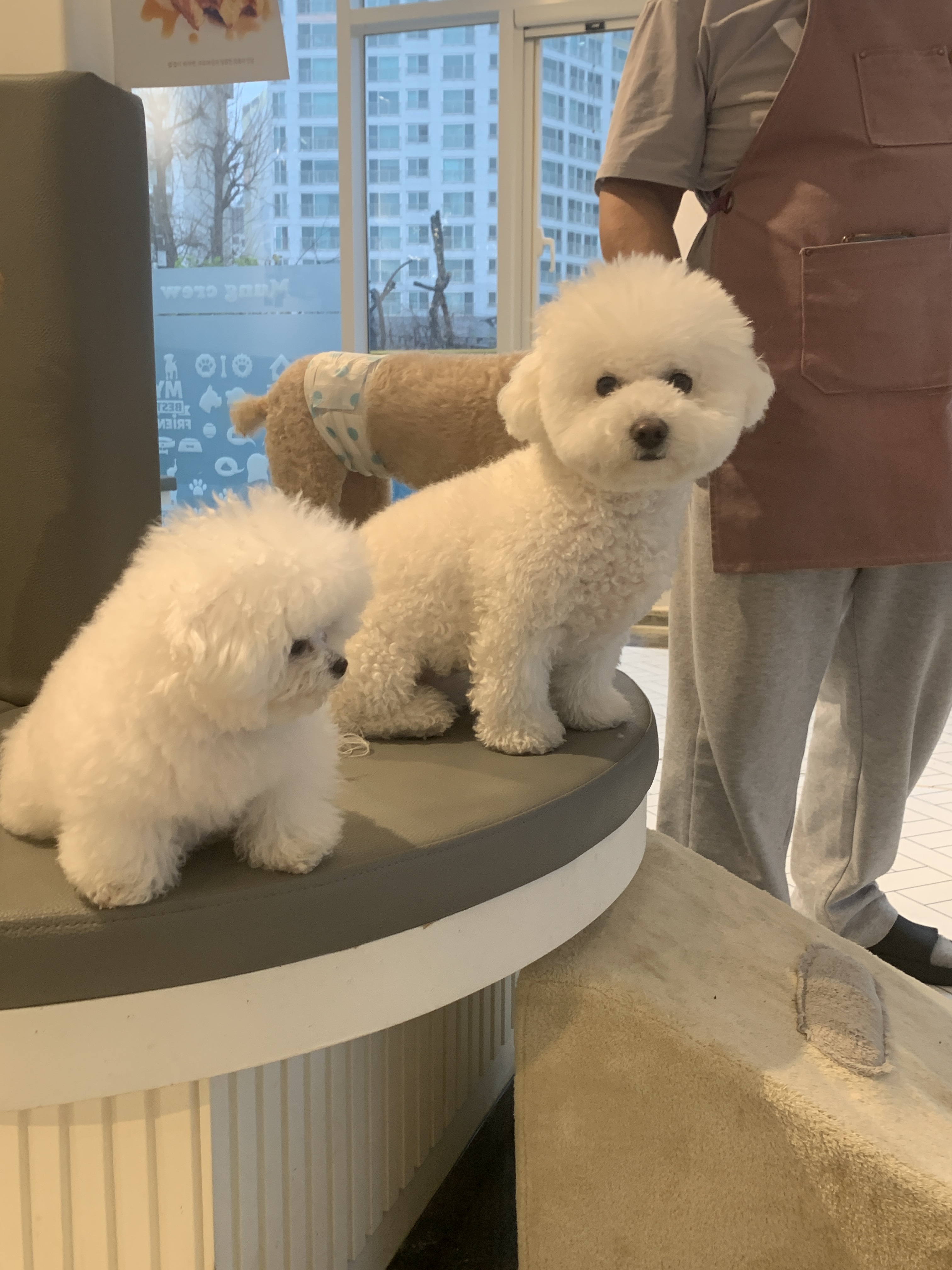멍크루 사진 3