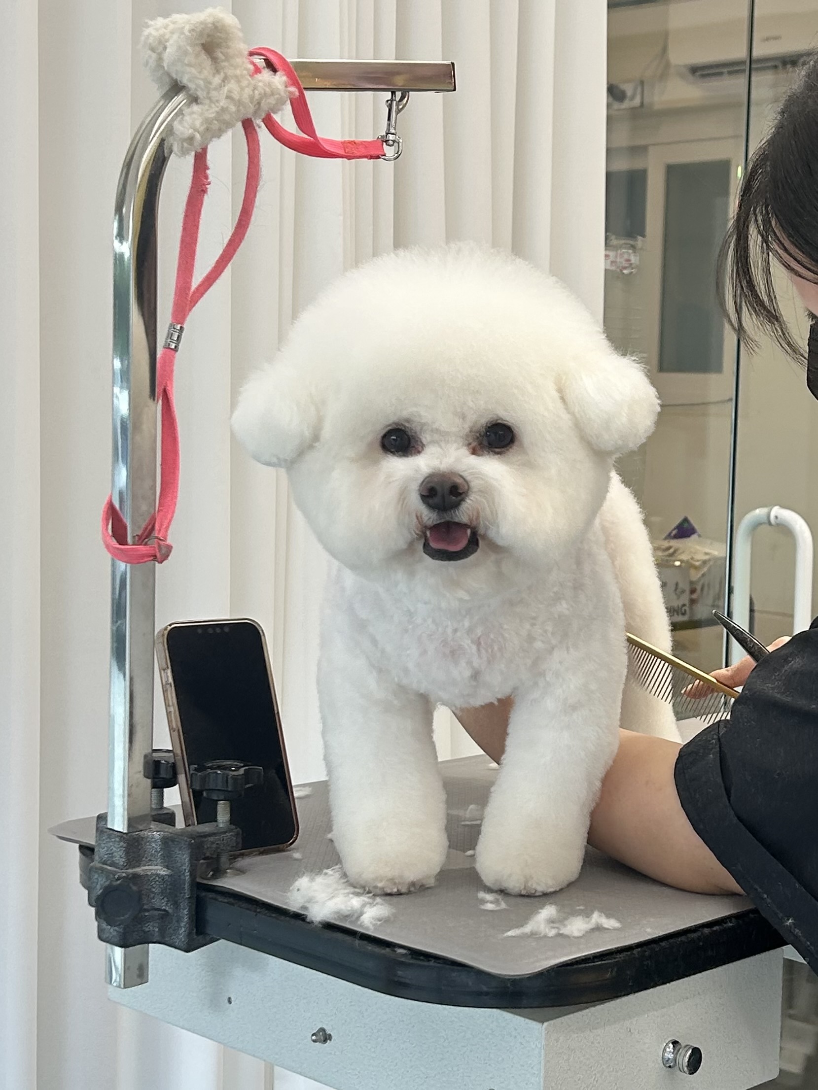 트리밍숍 대표 이미지