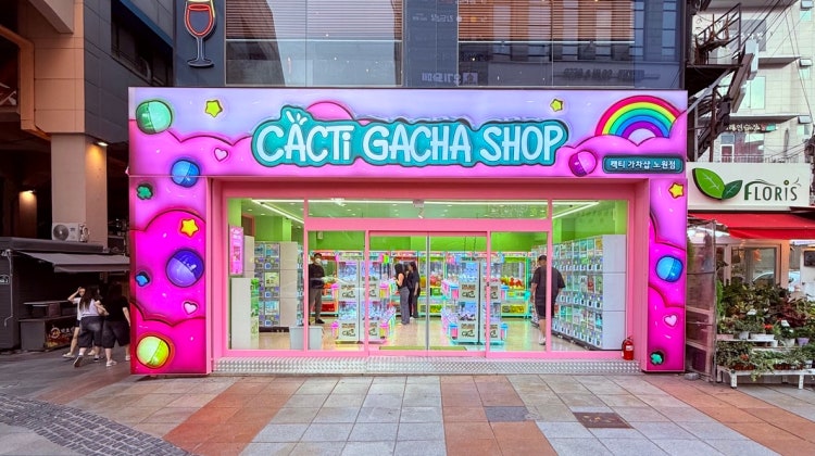 캑티 가챠샵 노원점 매장 사진