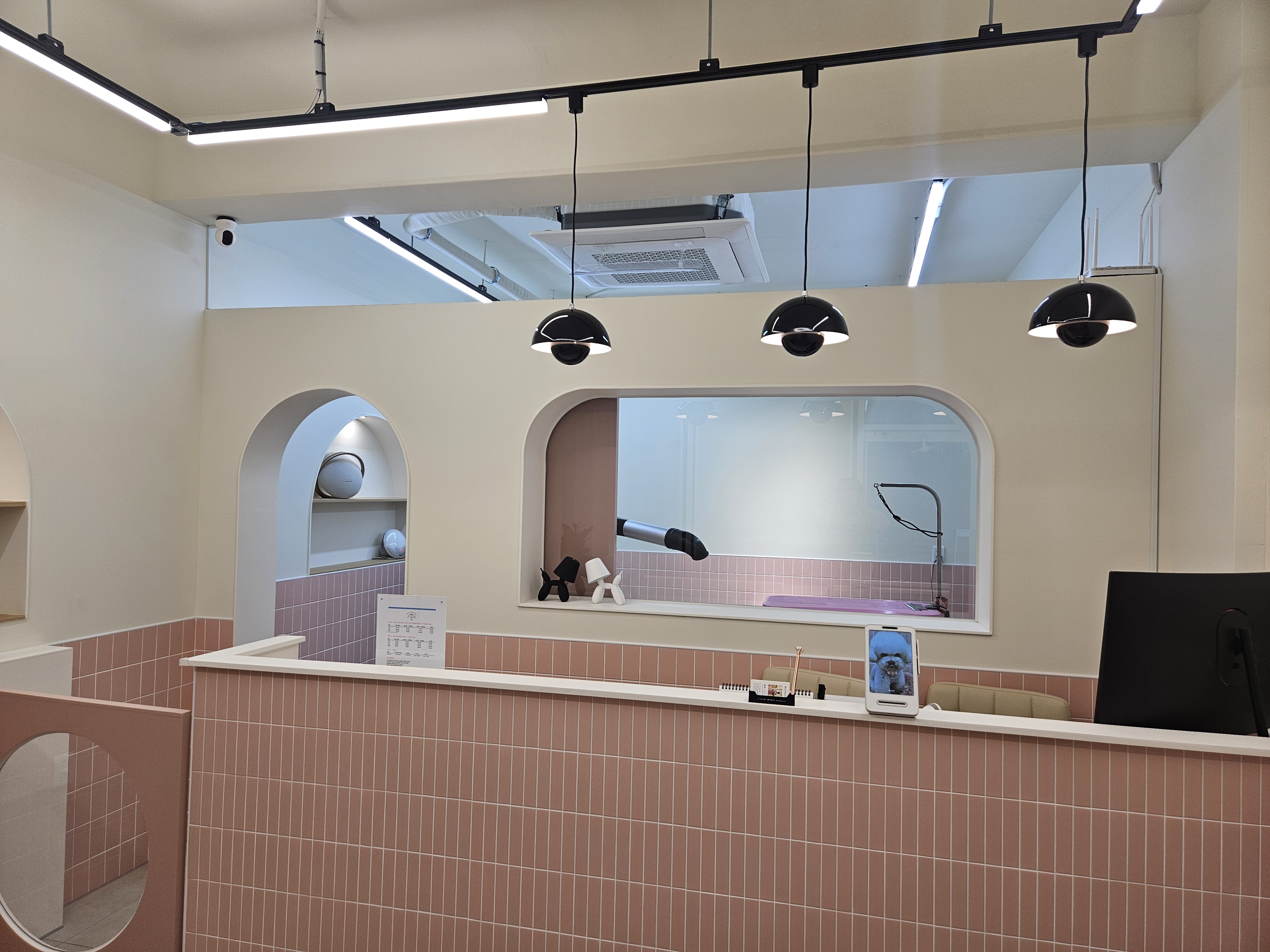 훈훈 반려견미용실 대표 이미지