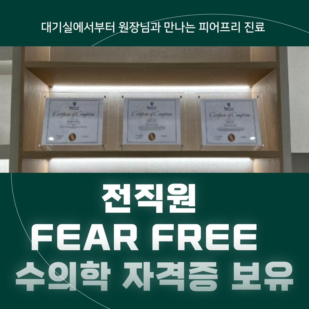 아떼꼬떼 동물병원 대표 이미지