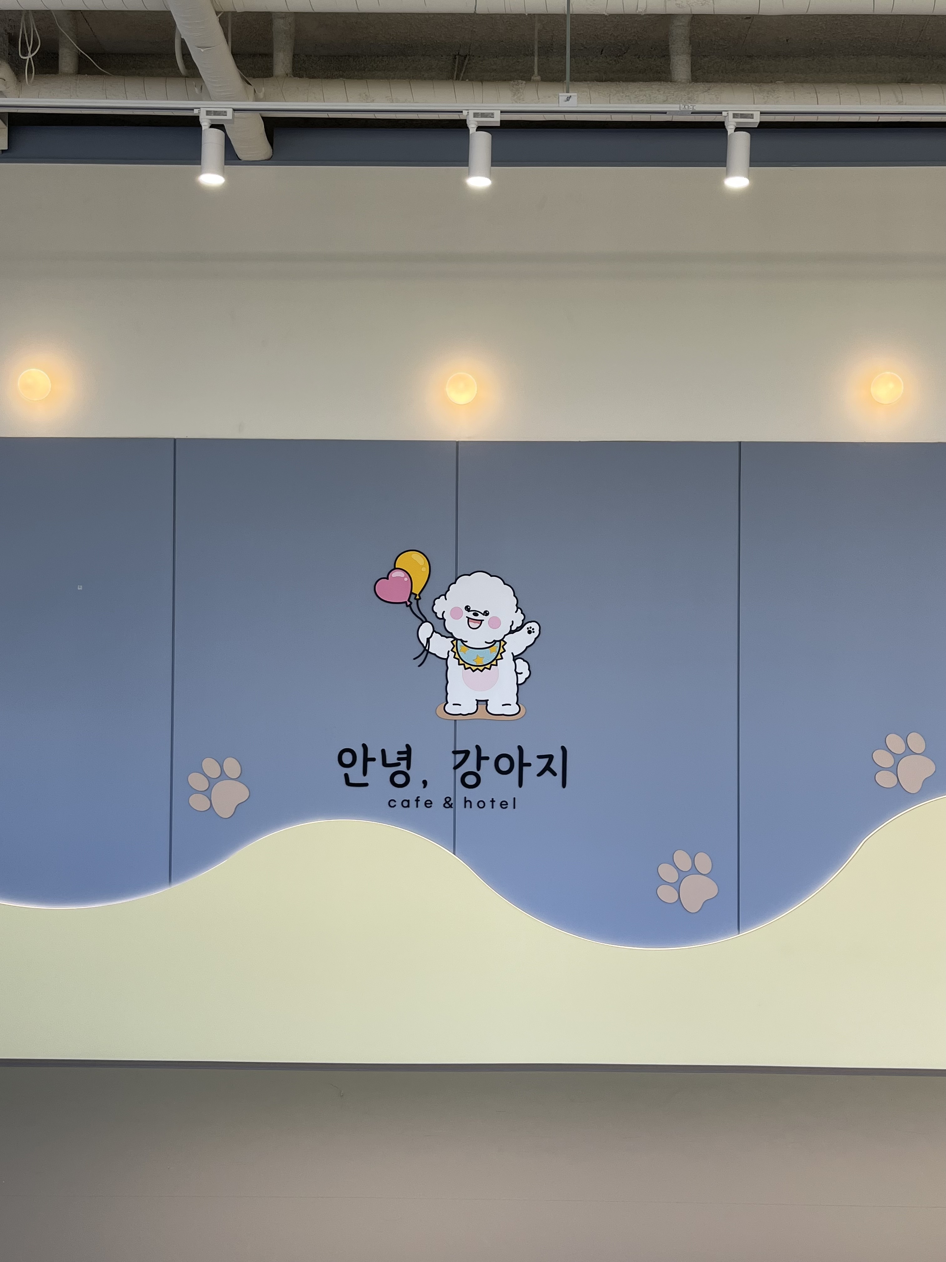사진 4