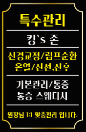 vip 마사지 photo 5