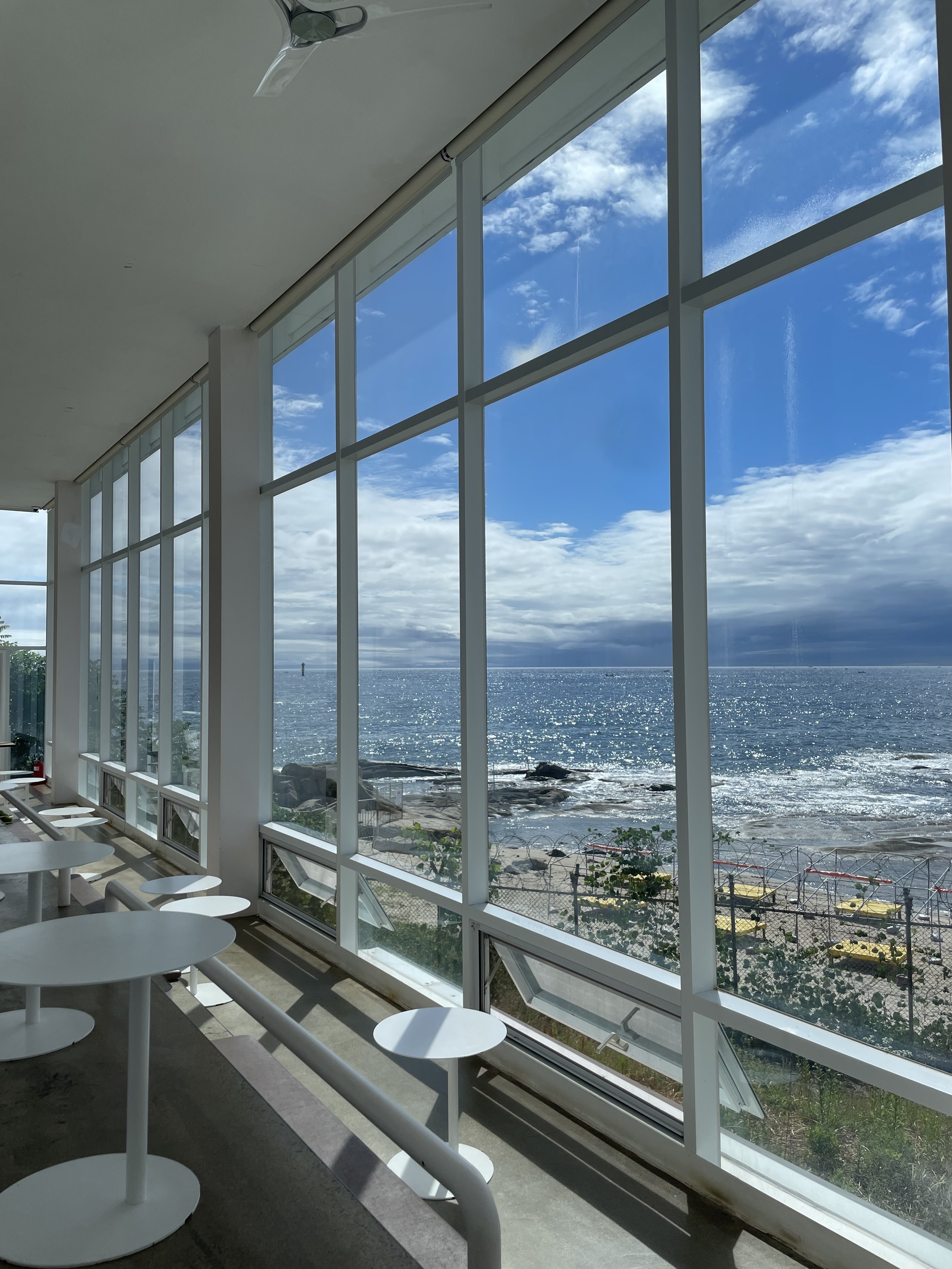 강원도 고성 맛집 스위밍 터틀 설명사진