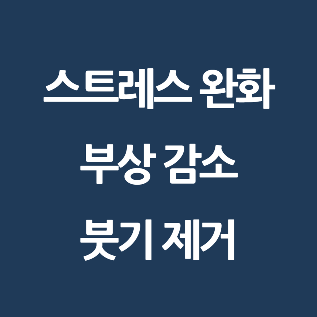 스트레칭 랑 대표 이미지
