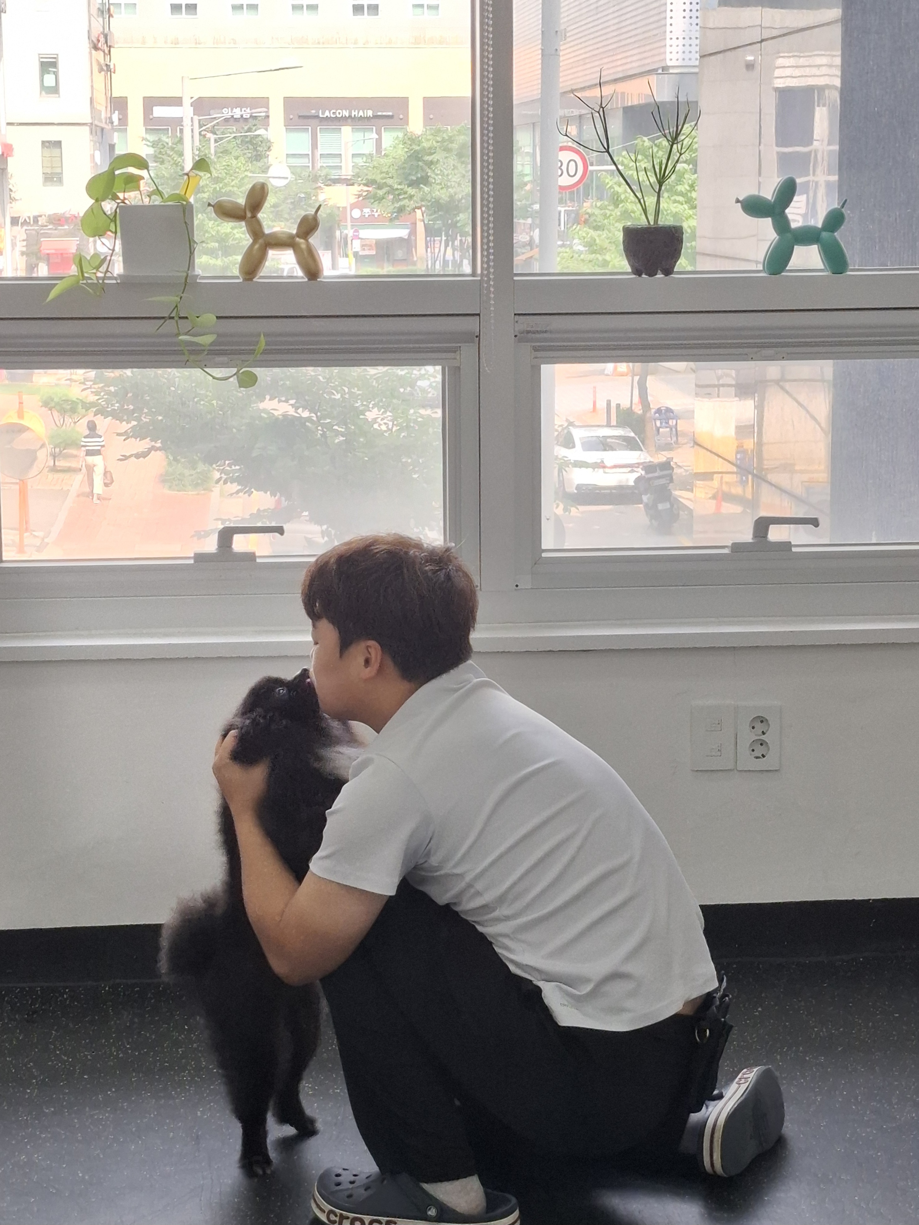 웬만해선 개들을 막을 수 없다 대표 이미지