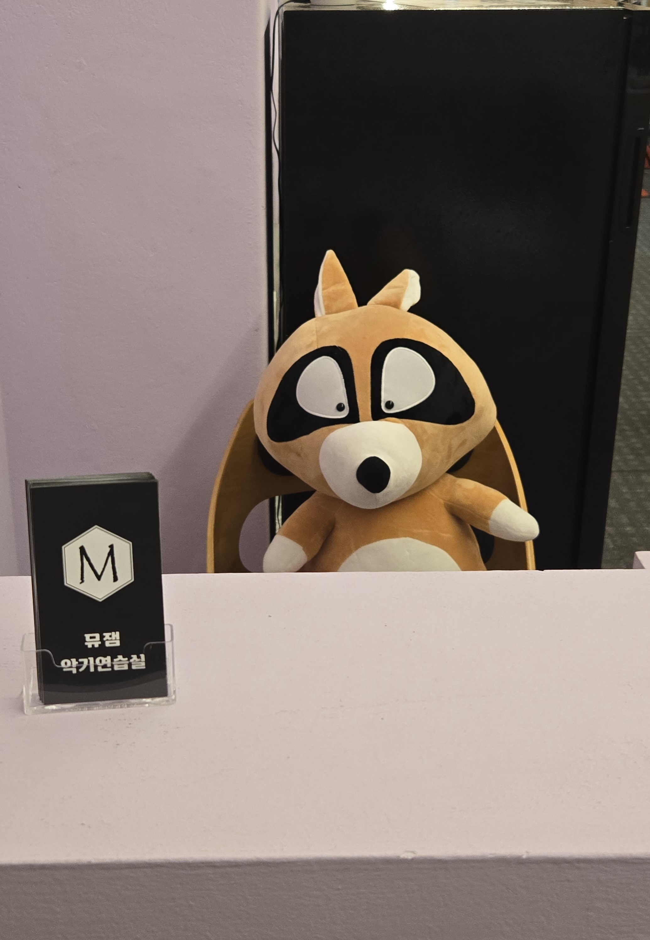 5번째 스튜디오 사진