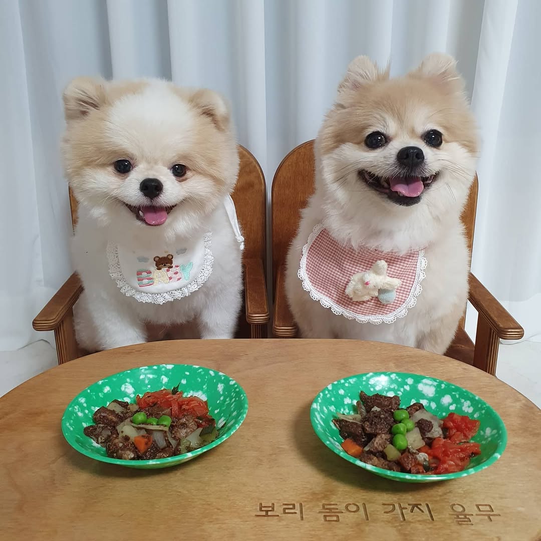 위닝푸드 대표 이미지