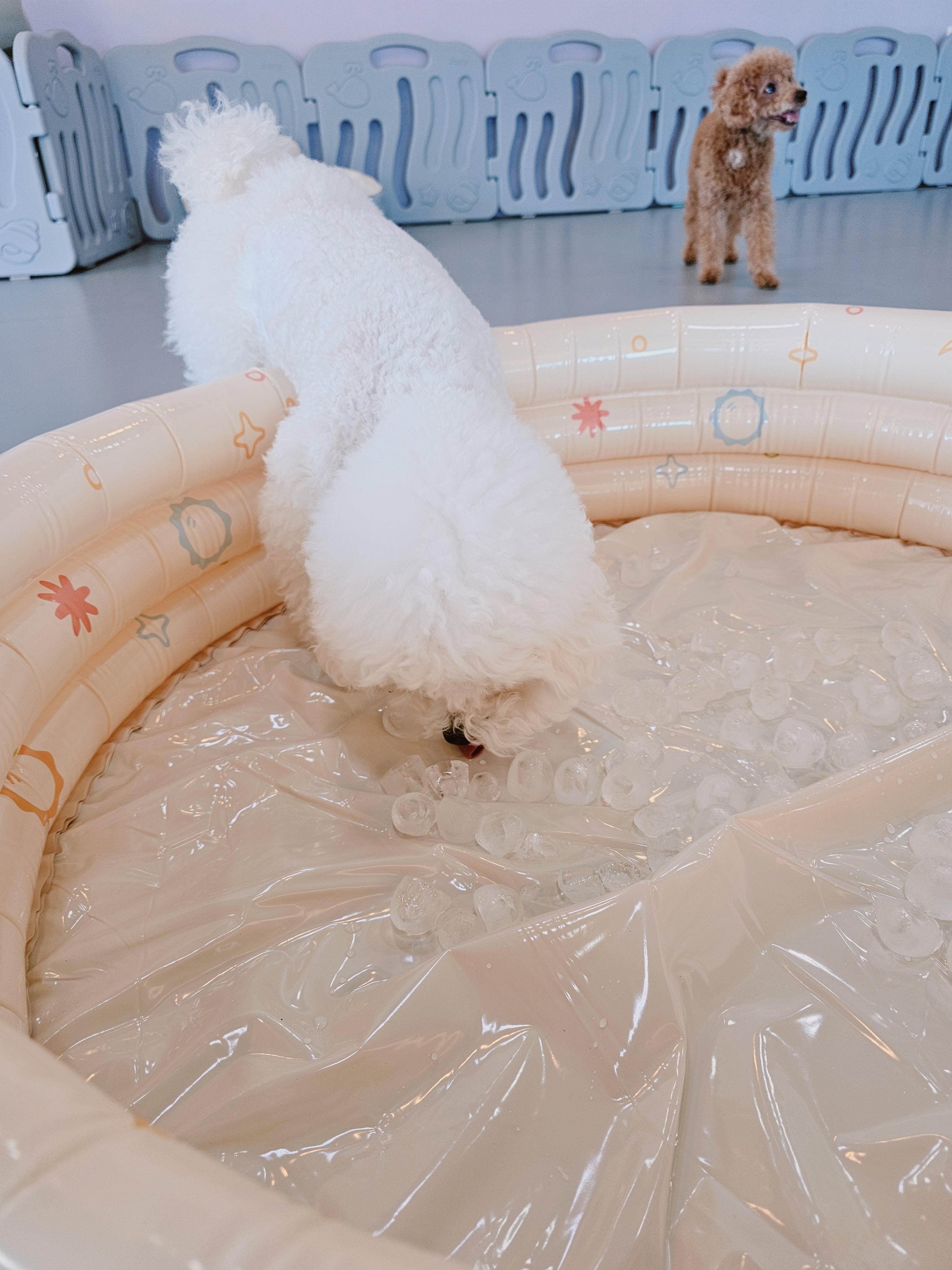 런독 대표 이미지