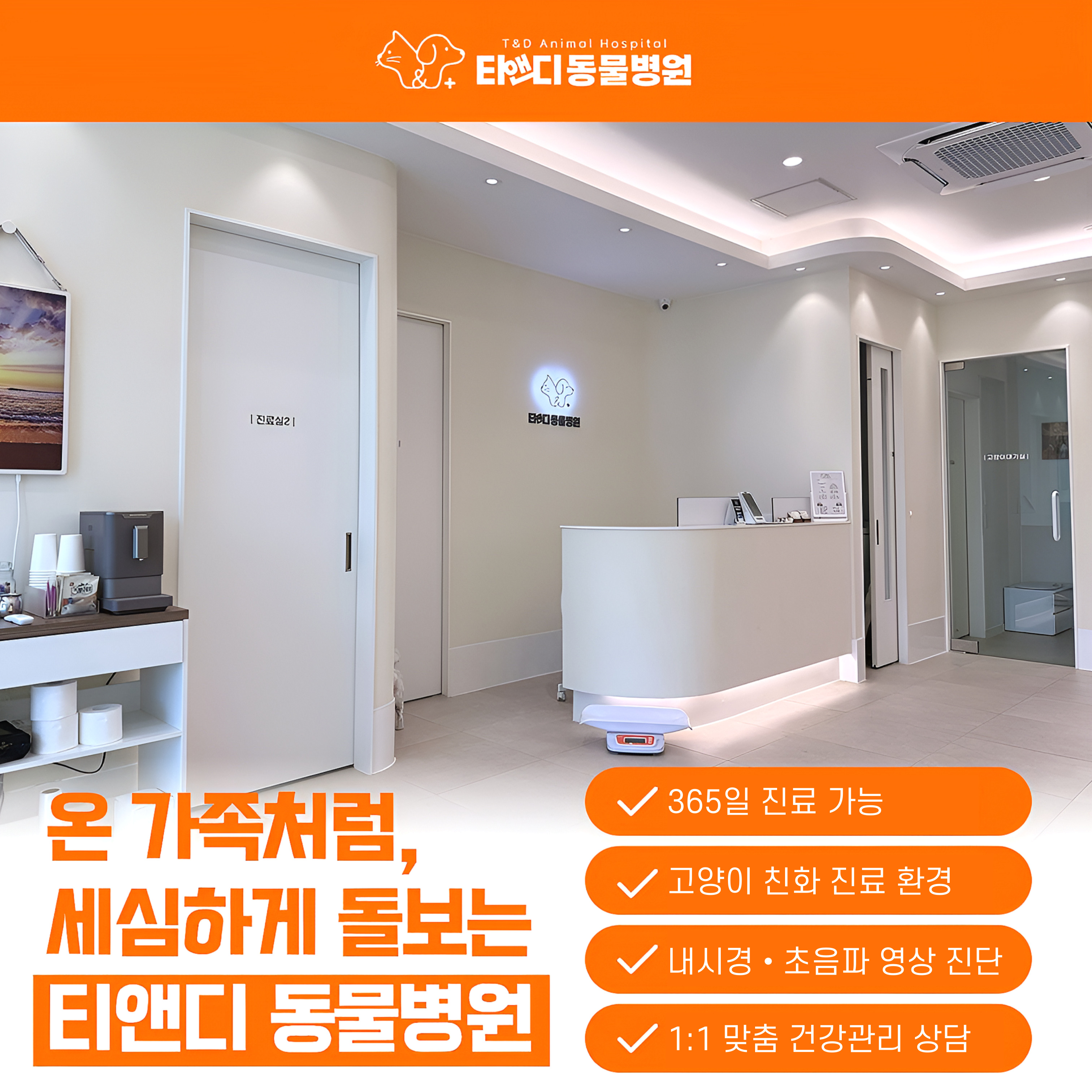 티앤디동물병원