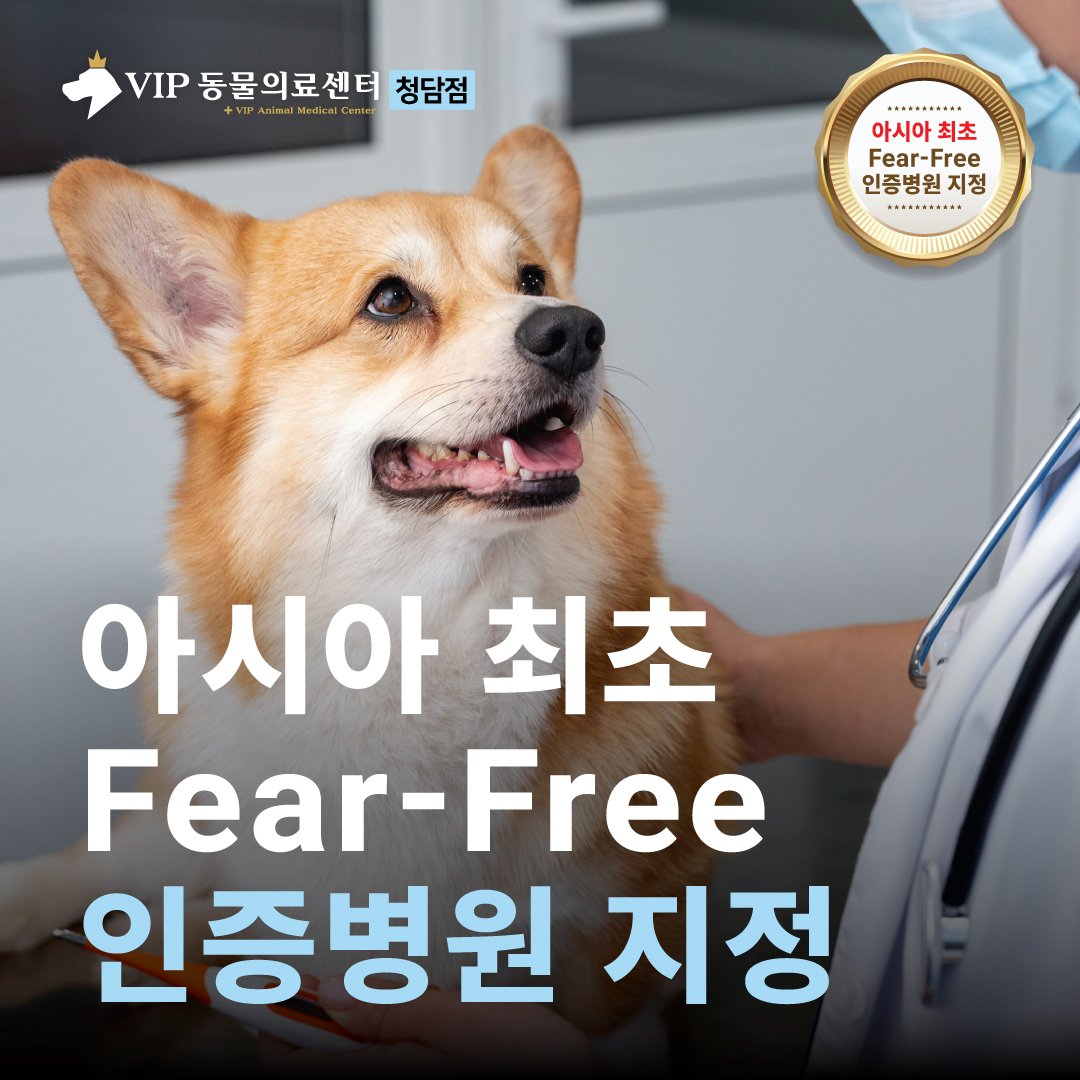 VIP동물의료센터 청담점 대표 이미지