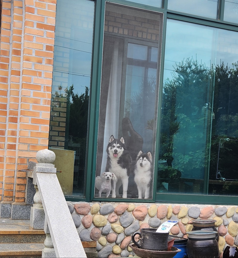 댕댕이산장 대표 이미지