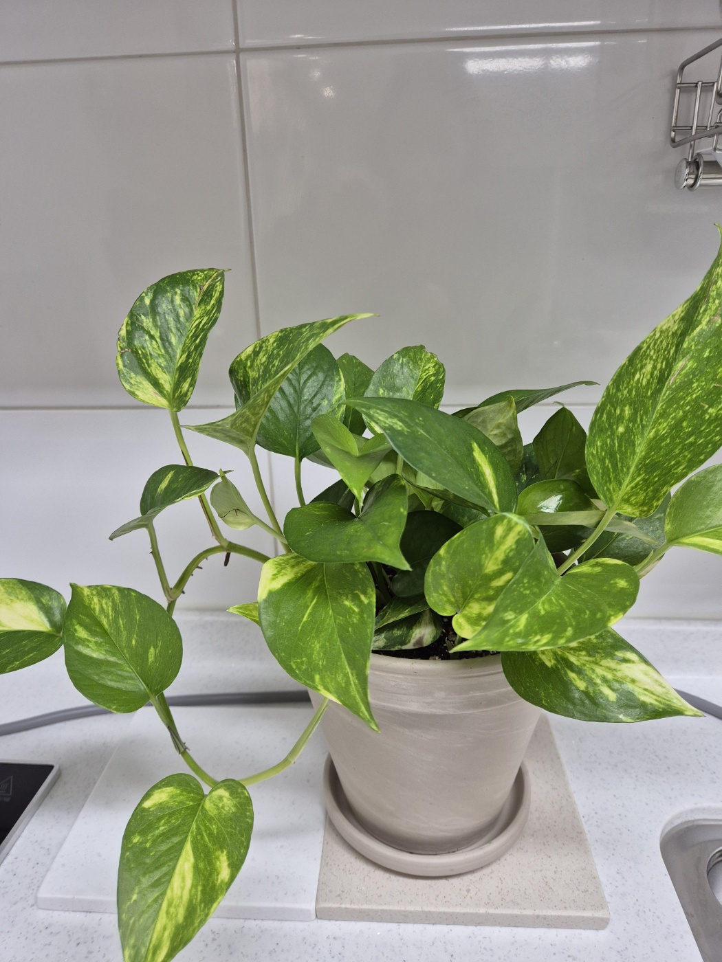 대전부부가족상담코칭센터 대표 이미지