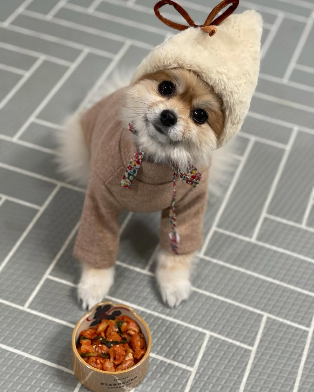 위닝푸드 대표 이미지