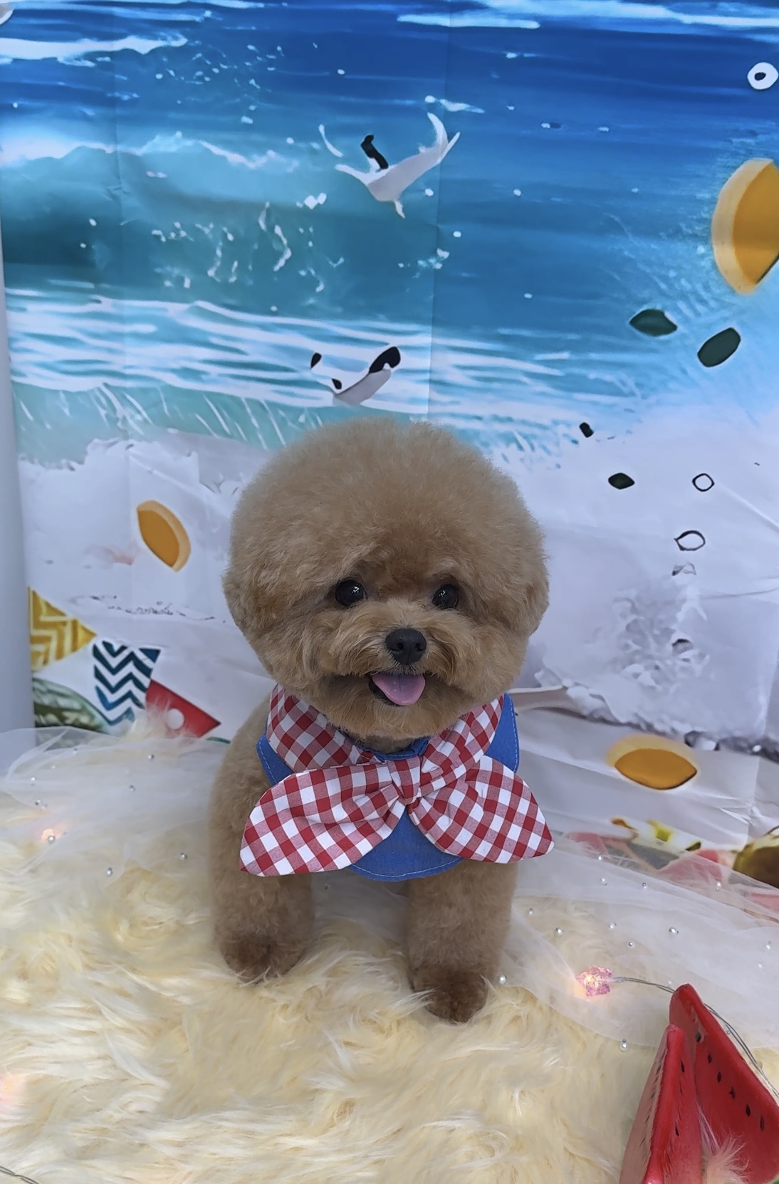멍티움연수점 대표 이미지
