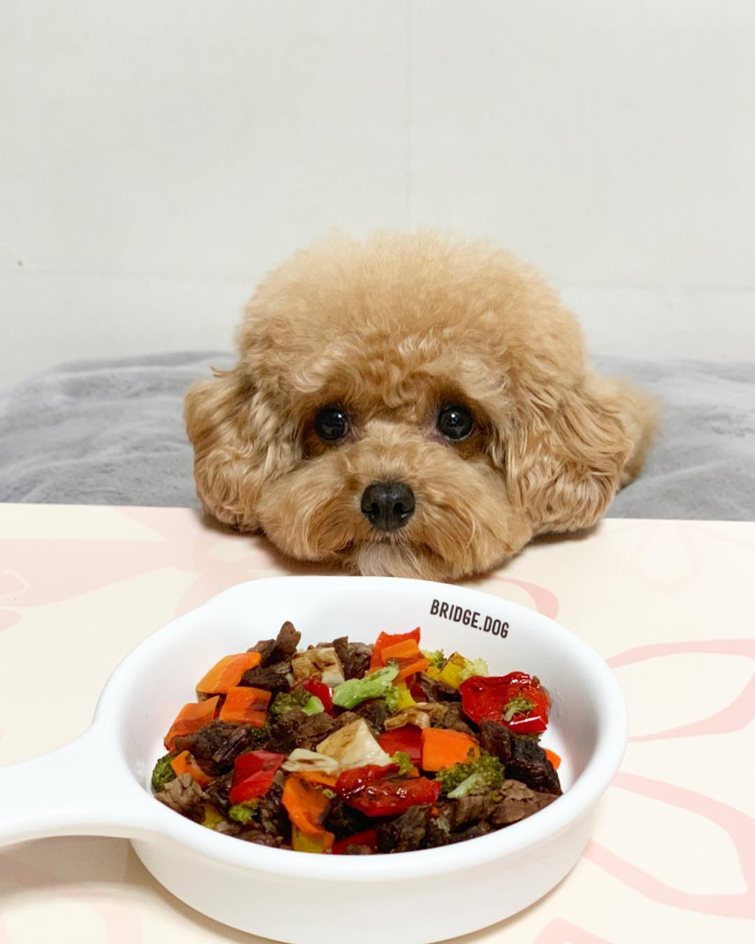 위닝푸드 대표 이미지