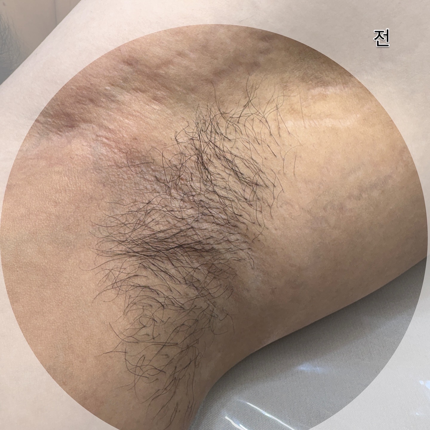 뽀바연 대표 이미지