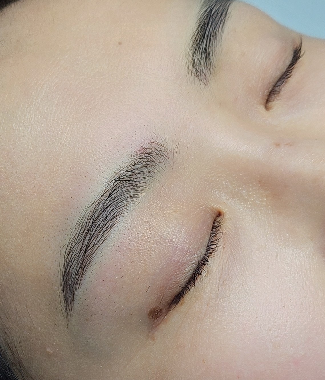 달빛눈썹 대표 이미지