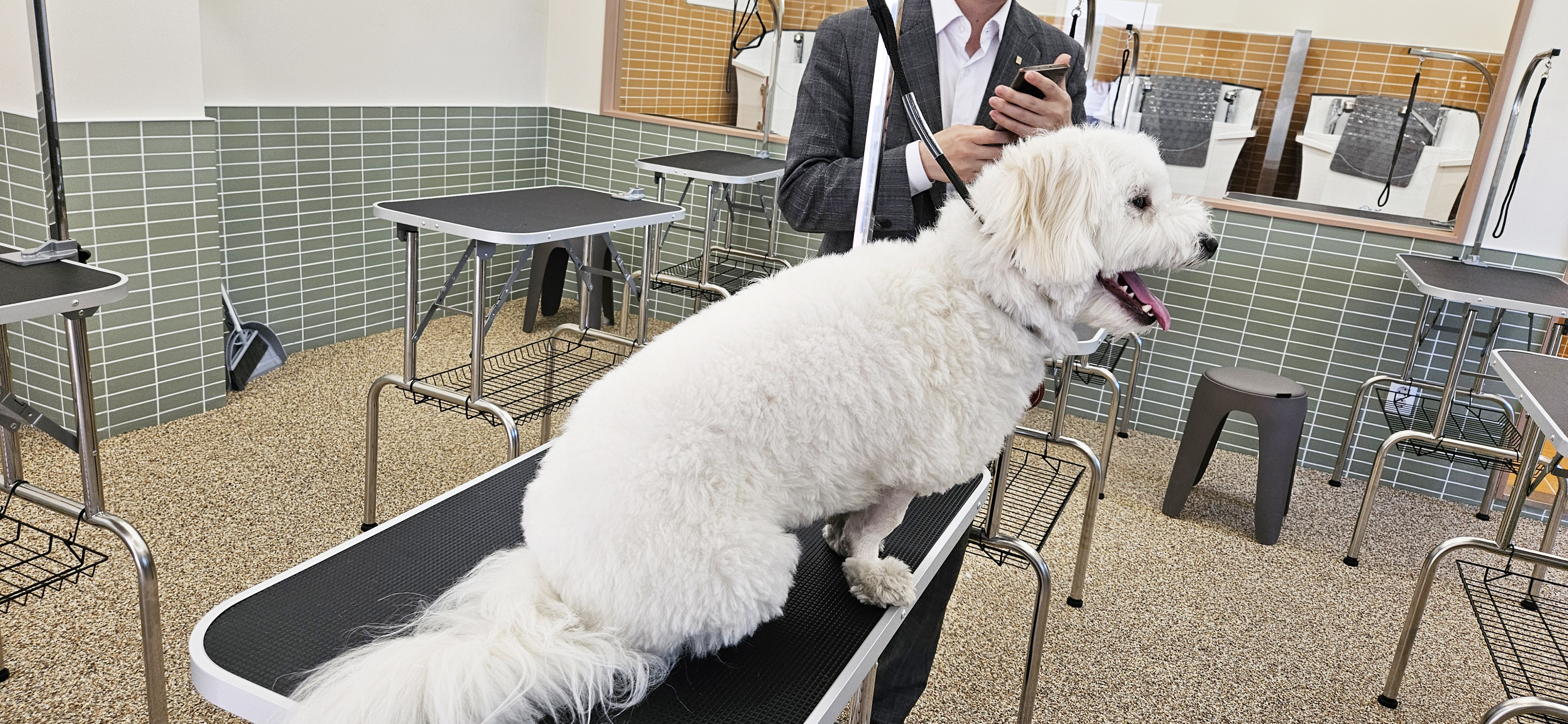 켈리스펫아카데미학원 대표 이미지