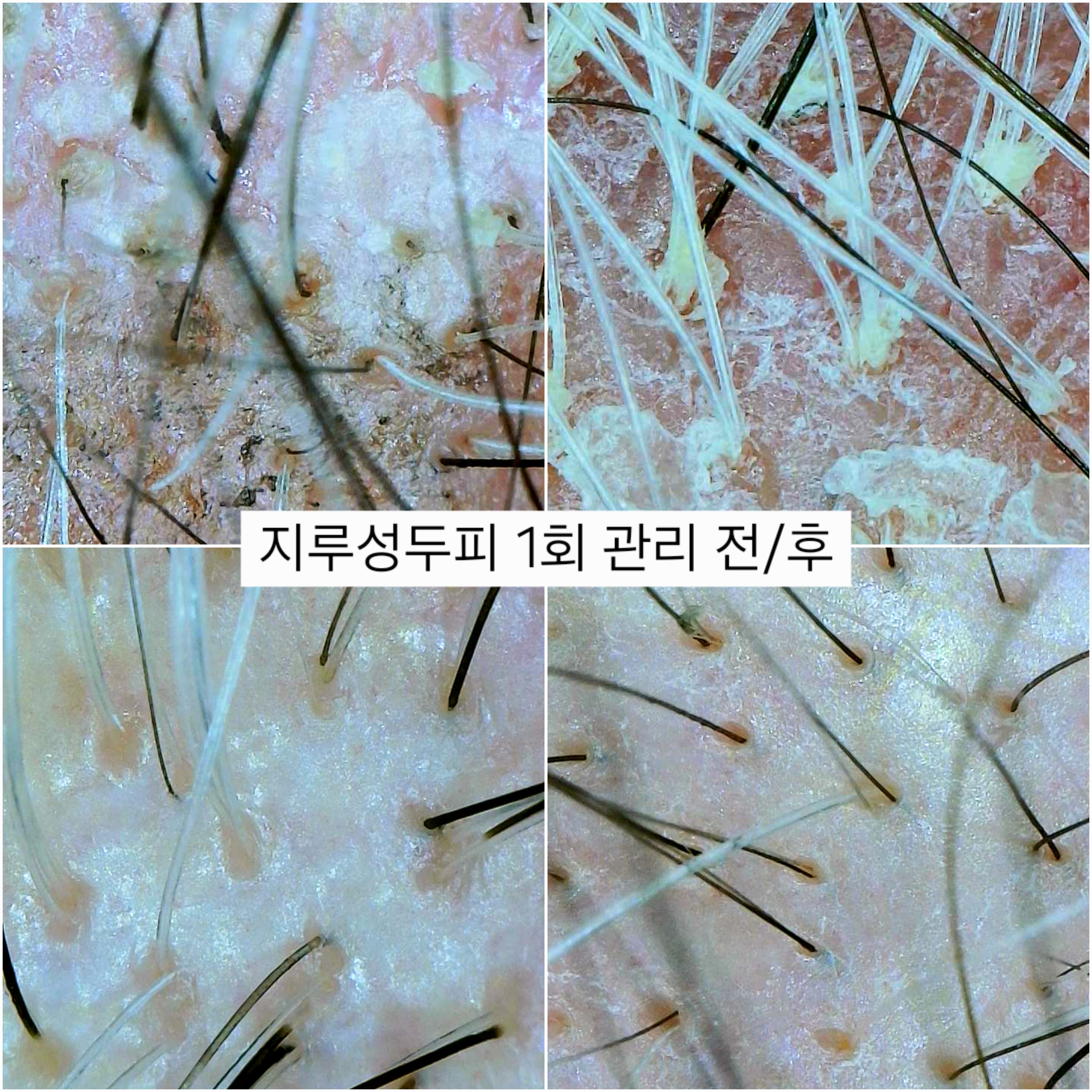 올가드림뷰티 기장교리점 대표 이미지