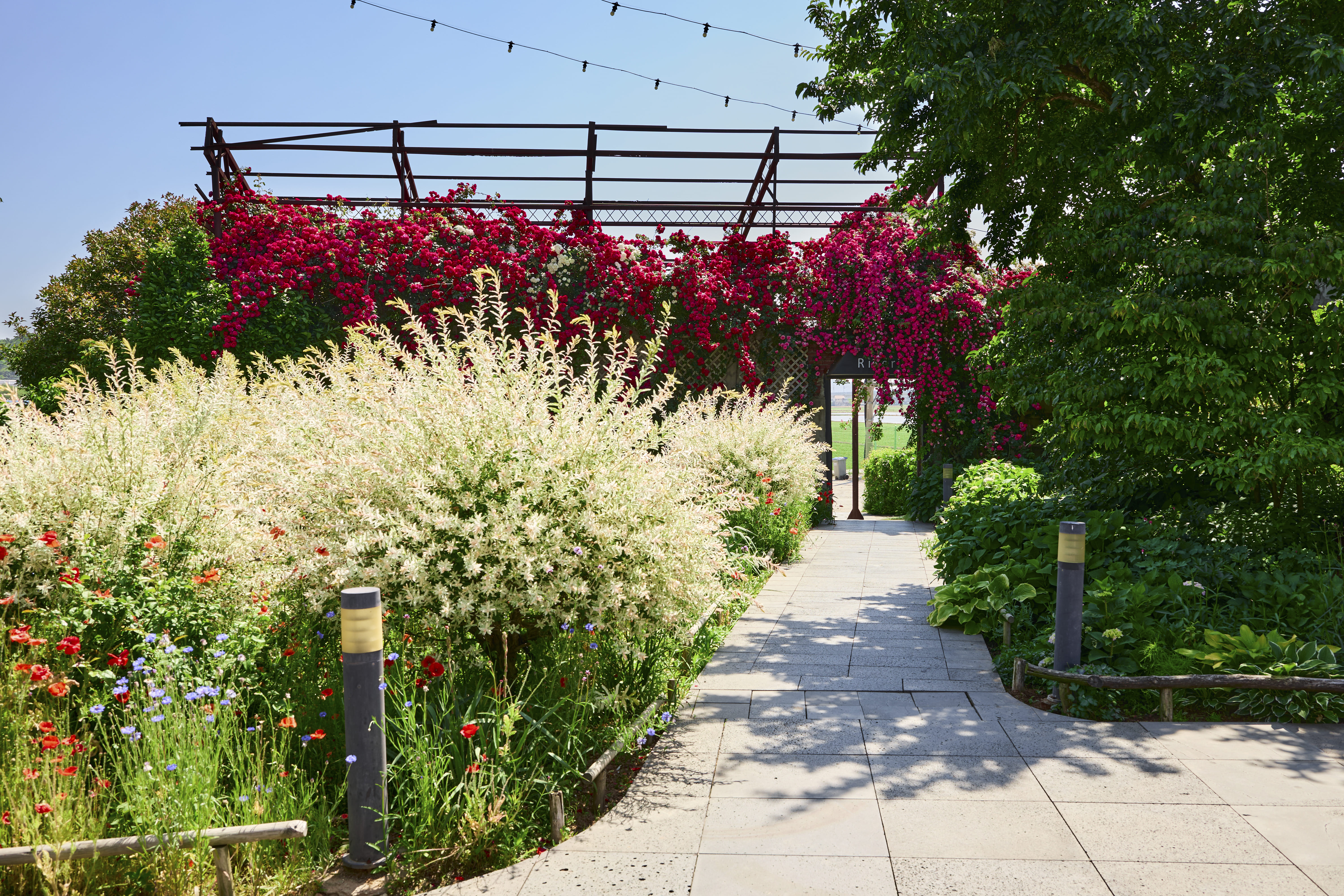 리즈리 대표 이미지