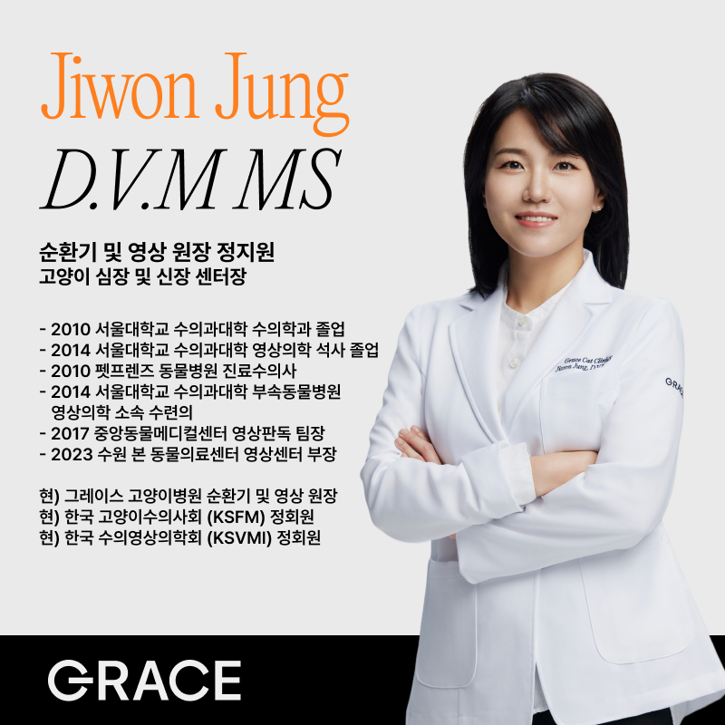 그레이스 고양이 심장&치과병원 대표 이미지