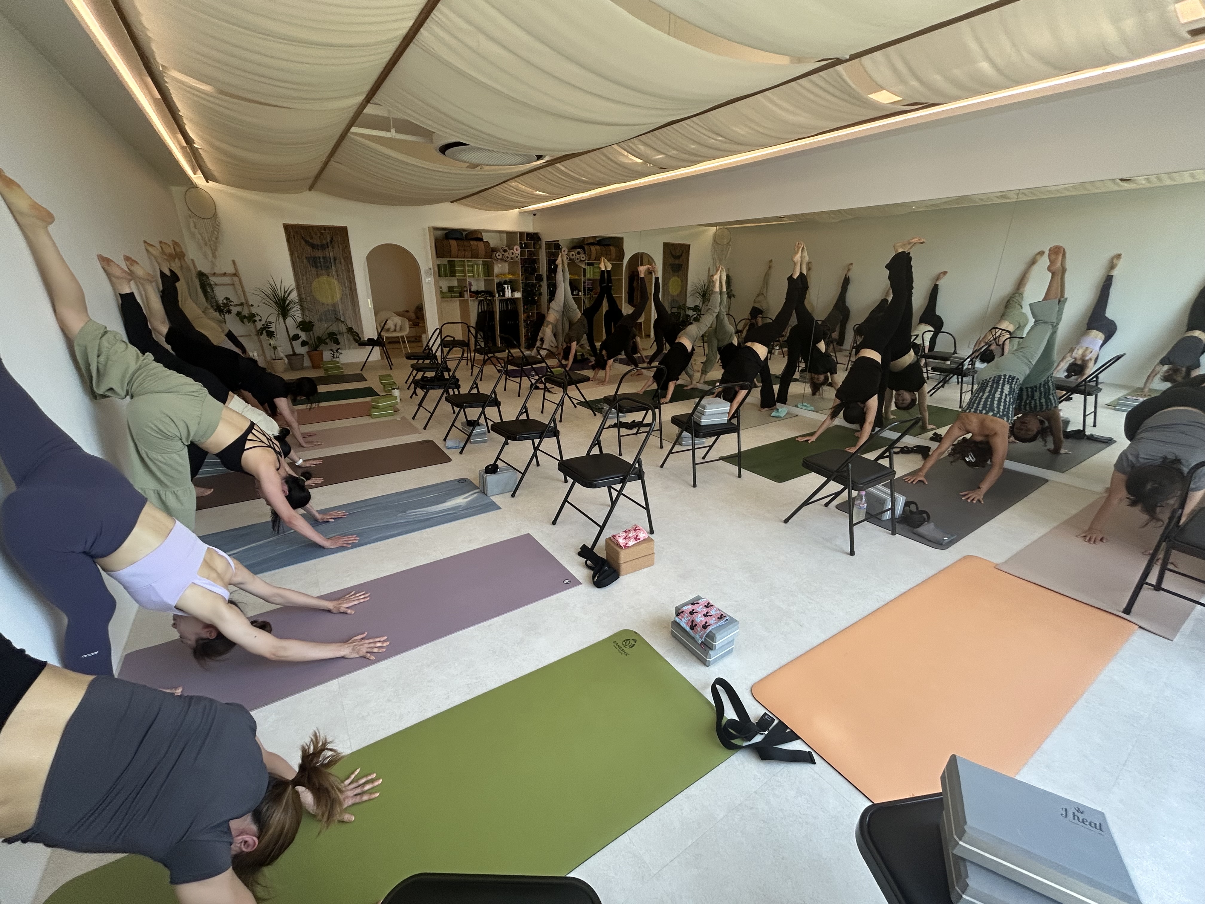 하랑요가 대표 이미지