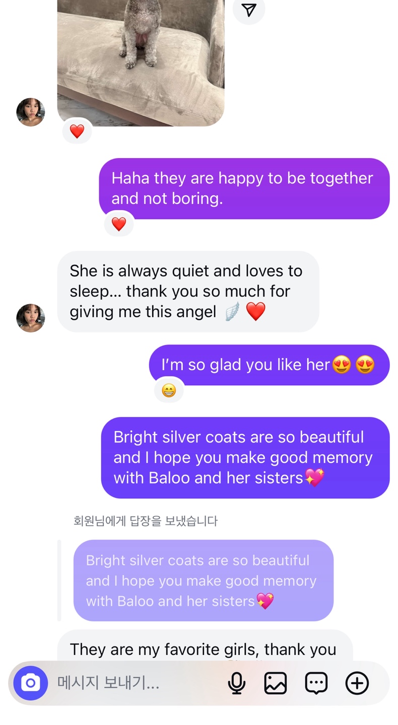 원퍼피 송파점 대표 이미지
