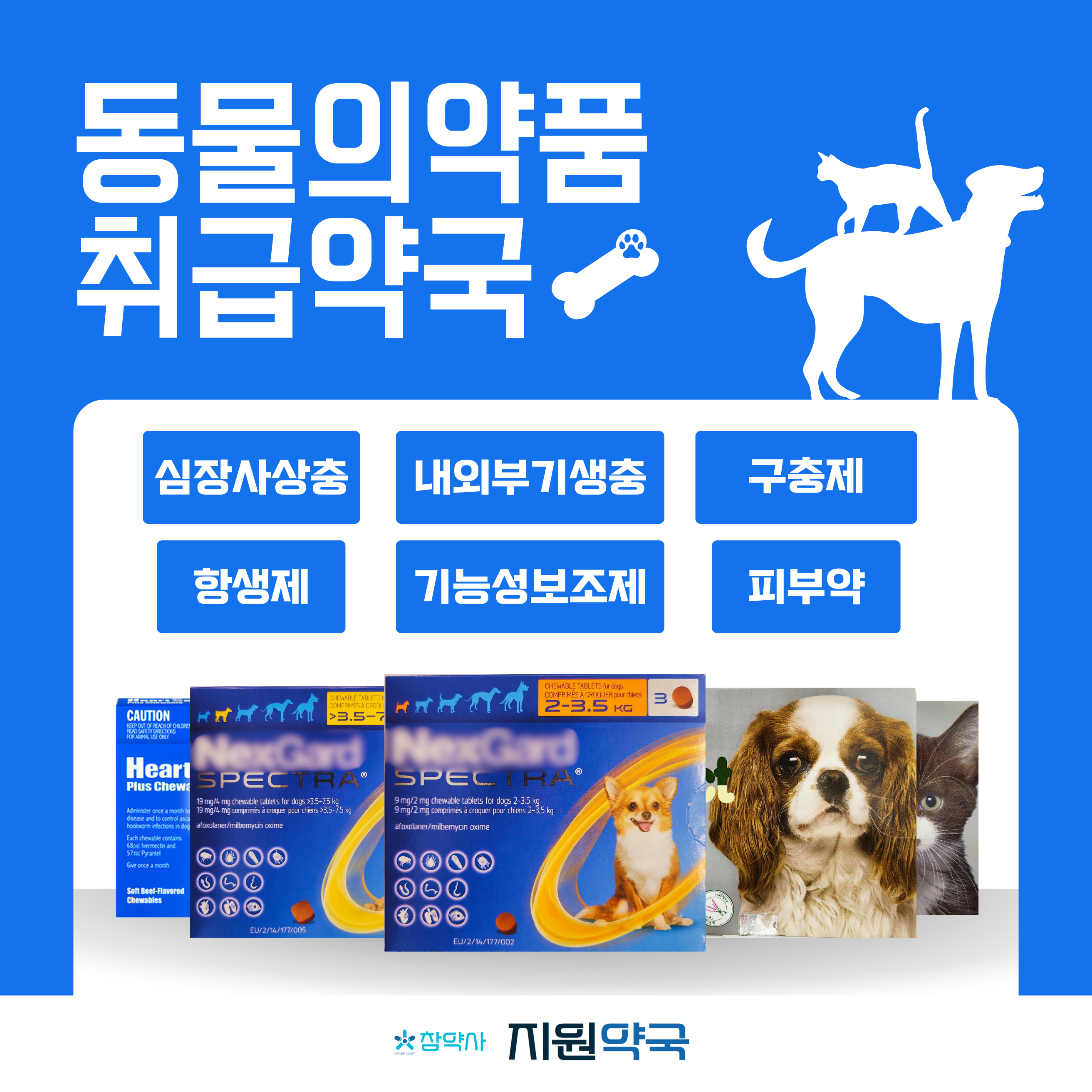 지원약국 대표 이미지
