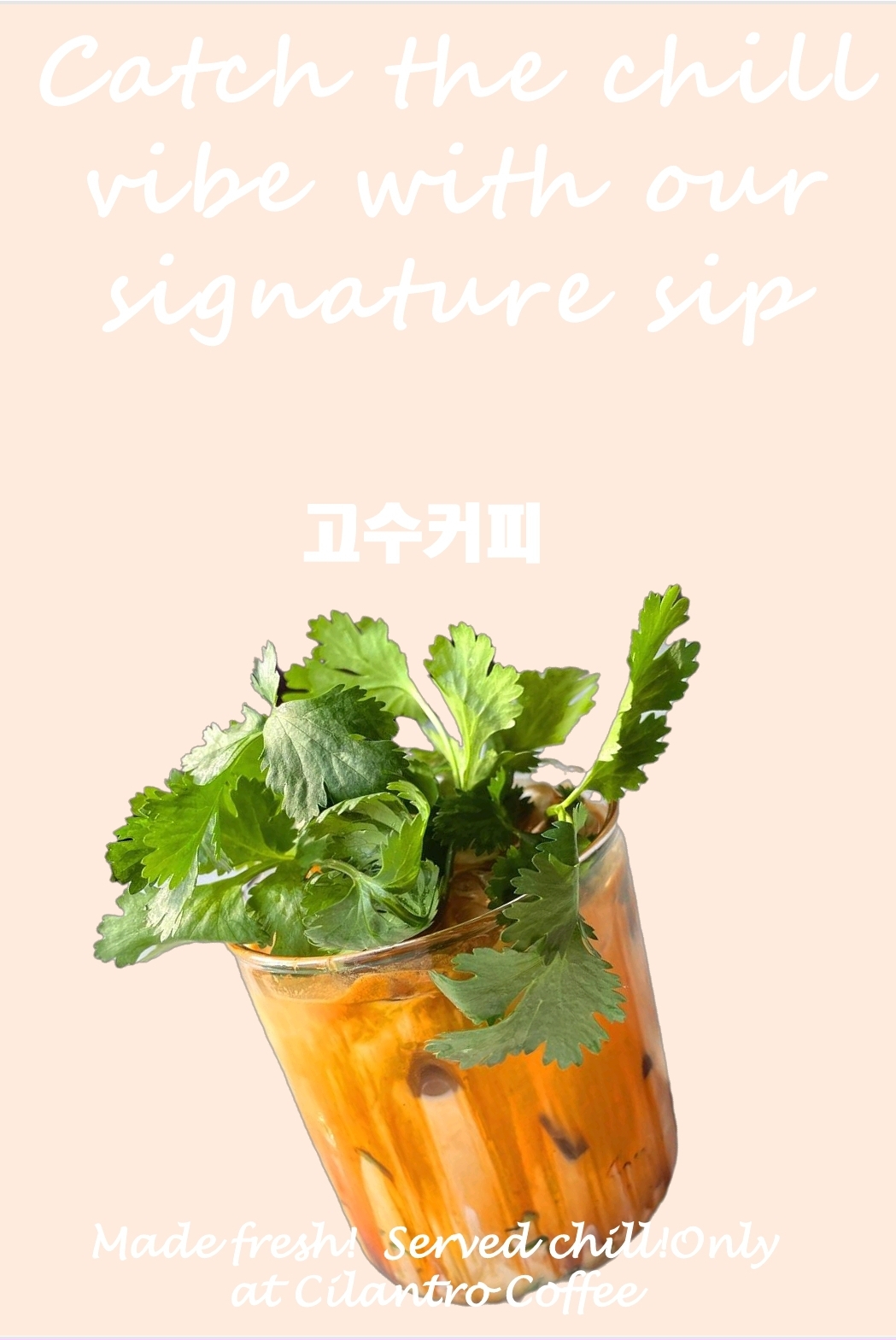 실란트로커피 5