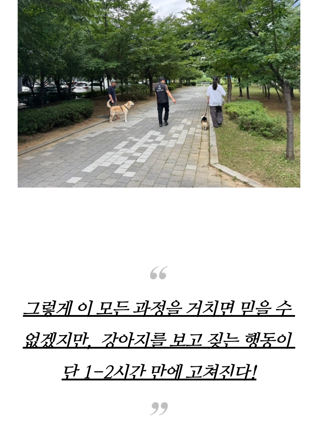 프래들 애견학교 대표 이미지