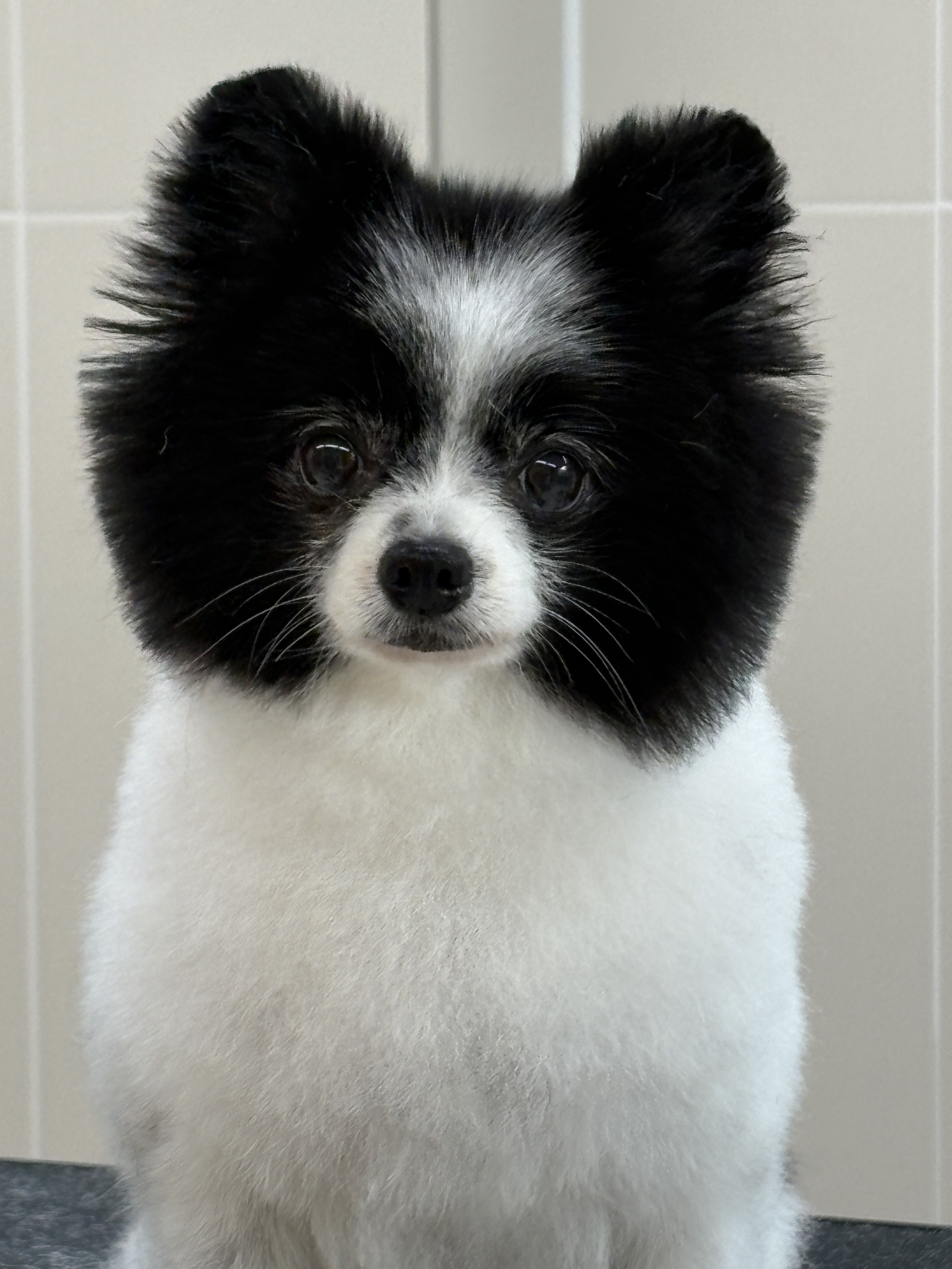 미용오개 영등포점 대표 이미지