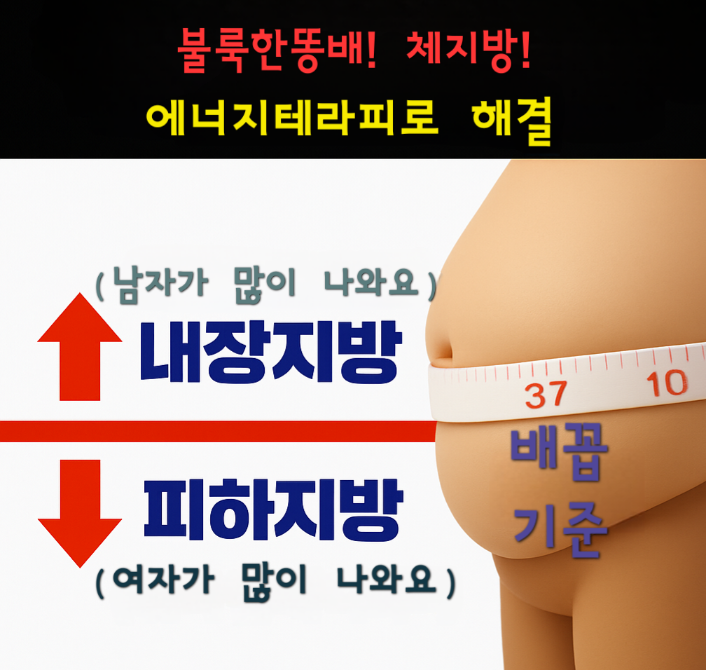대구 아로마 마사지 디톡더퓨어 photo 8