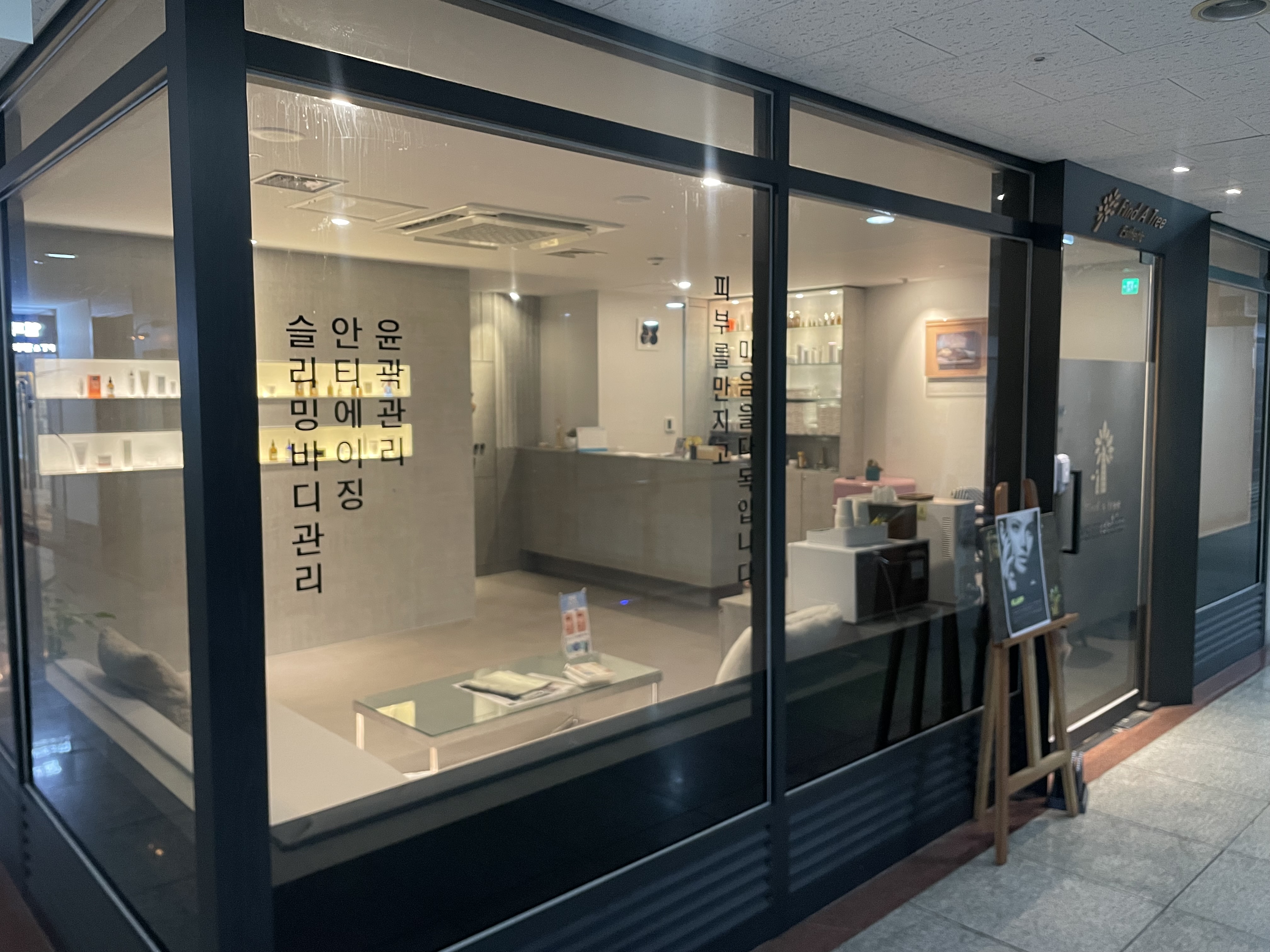 파인더트리 에스테틱