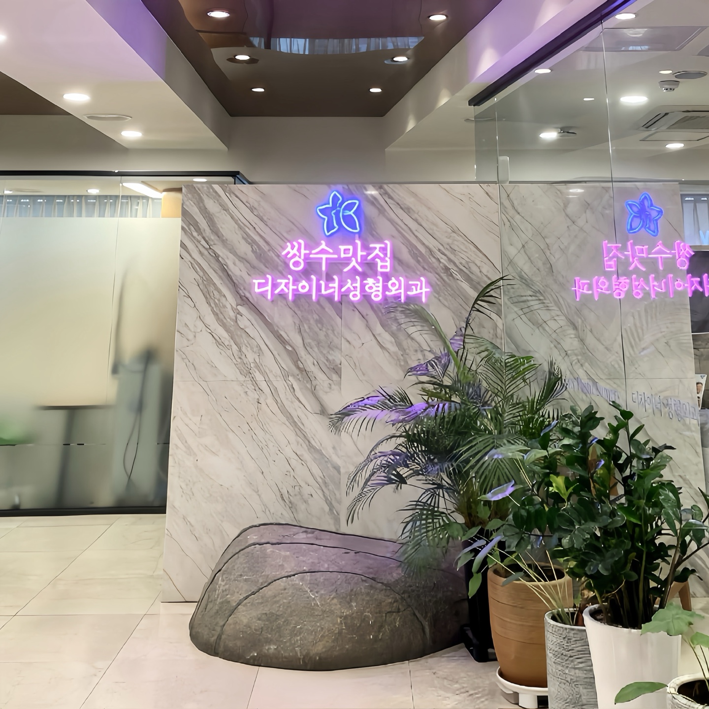 디자이너성형외과의원 대표 이미지