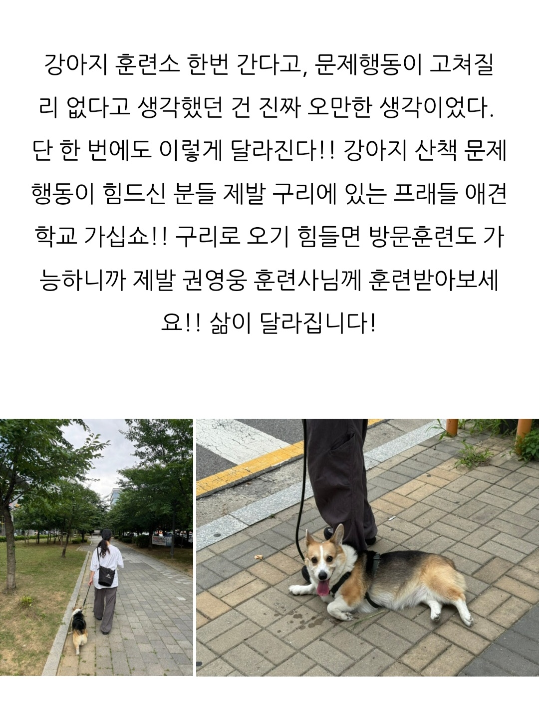 프래들 애견학교 대표 이미지