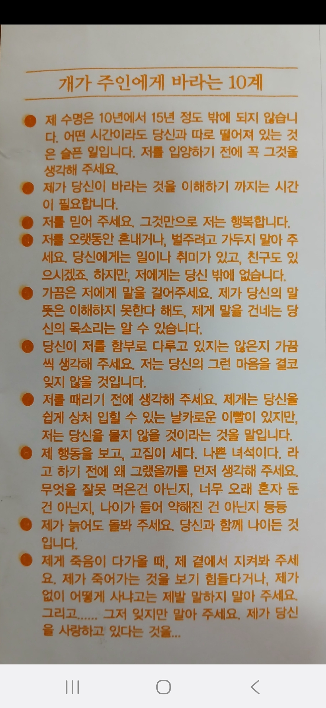 케니애견돌봄센터 대표 이미지