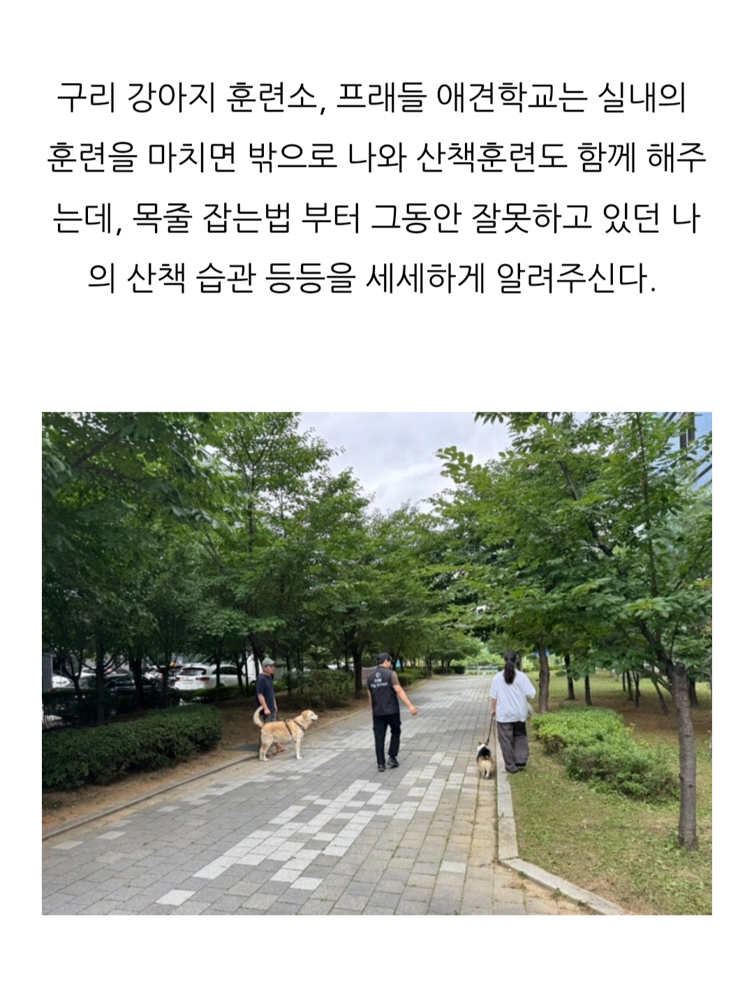 프래들 애견학교 대표 이미지