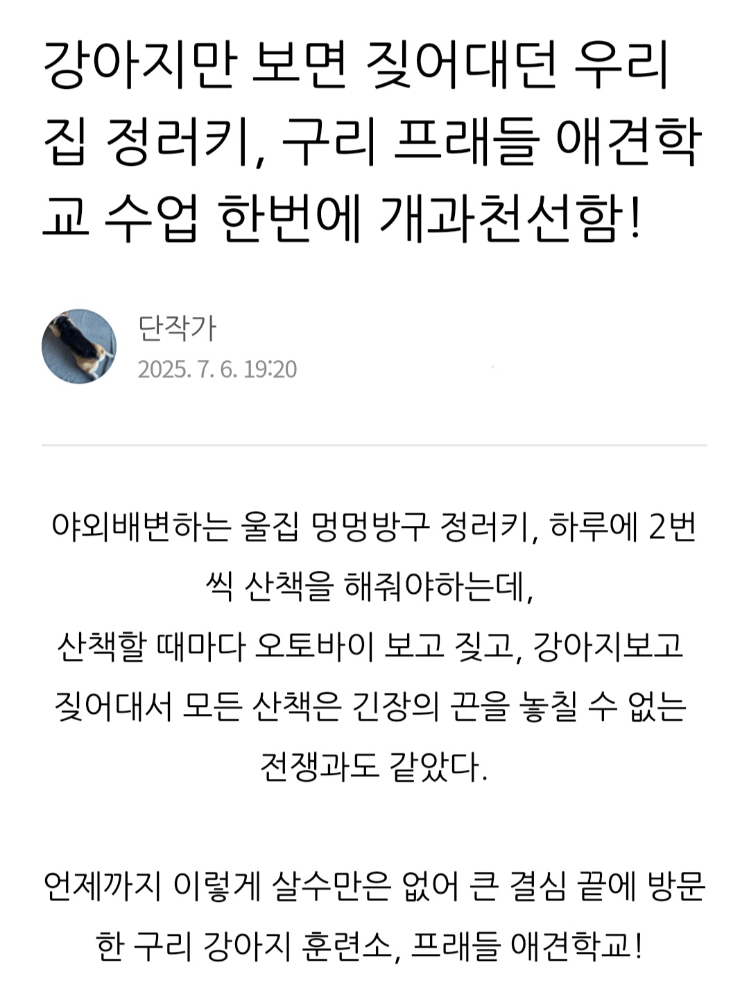 사진 2