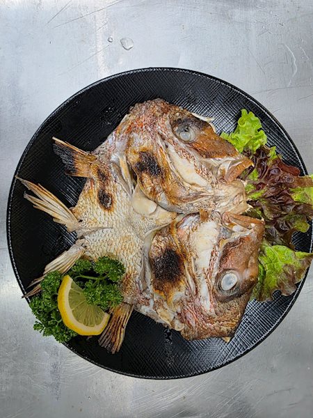 어패가있네